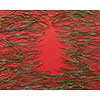 pine needles and red background for Christmas cards