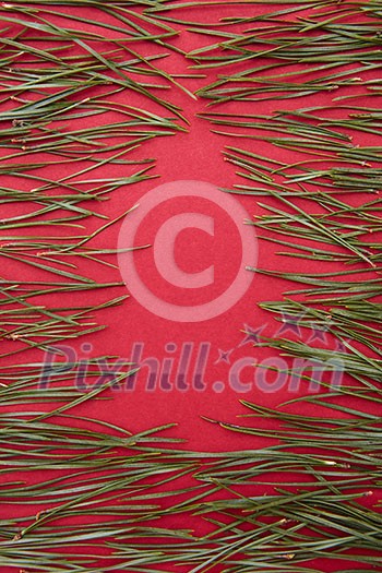 red background and pine needles in the form of a Christmas tree for cards red background and pine needles in the form of a Christmas tree for cards