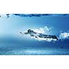 Young businessman in suit swimming under water