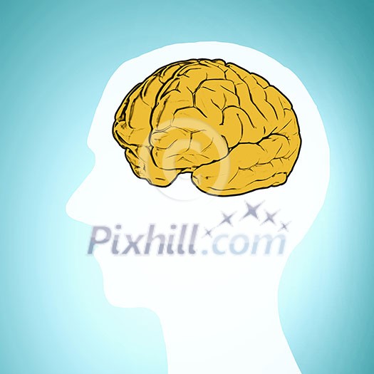 Silhouette of a man's head and brain illustration Silhouette of a man's head and brain illustration