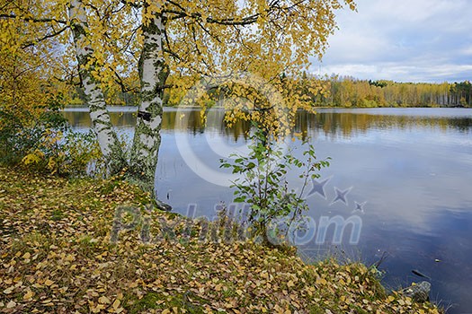 Lake landscape in autumn colors Lake landscape in autumn colors