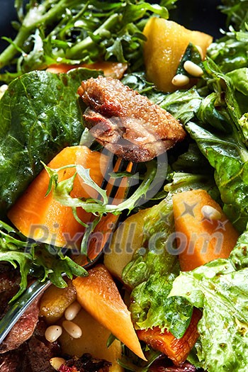 macro delicious, grilled meat duck with roasted pumpkin with salad on a fork macro delicious, grilled meat duck with roasted pumpkin with salad on a fork