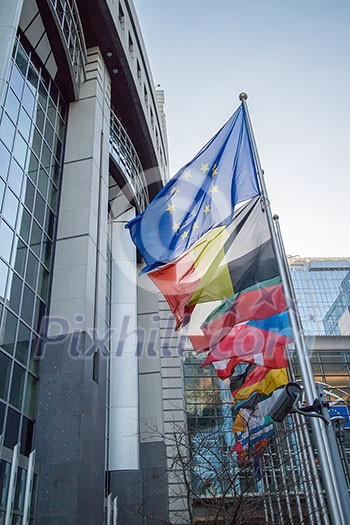 Flags with European Parliament in Brussels, Belgium Flags with European Parliament in Brussels, Belgium