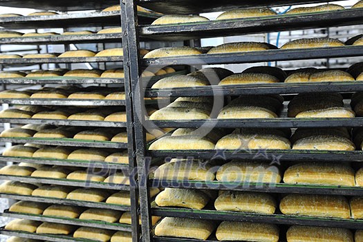 bread bakery food factory production with fresh products bread bakery food factory production with fresh products