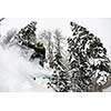 Snowboarder doing a jump and free ride on  powder snow at winter season