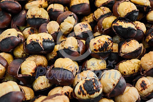 chestnut, marron, Turkish chestnut, sweet chestnut chestnut, marron, Turkish chestnut, sweet chestnut