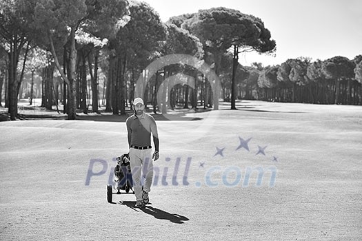 handsome middle eastern golf player carrying and bag and walking at course on beautiful sunset handsome middle eastern golf player carrying and bag and walking at course on beautiful sunset