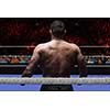 professional kickboxer with hands in martial arts position training for the fight in the training ring