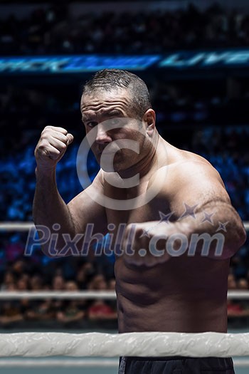 professional kickboxer with hands in martial arts position training for the fight in the training ring professional kickboxer with hands in martial arts position training for the fight in the training ring