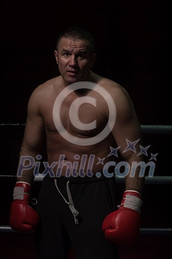 portrait of muscular professional kickboxer who standing in the ring while training for the fight portrait of muscular professional kickboxer who standing in the ring while training for the fight