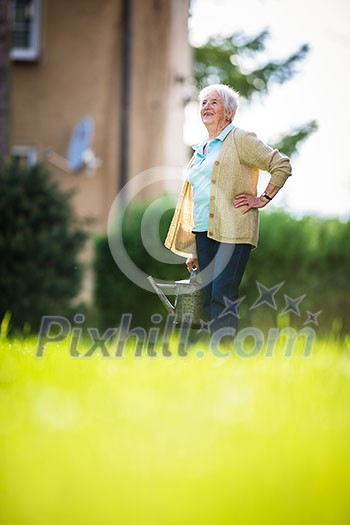 Senior woman doing some gardening in her lovely garden - watering the plants Senior woman doing some gardening in her lovely garden - watering the plants