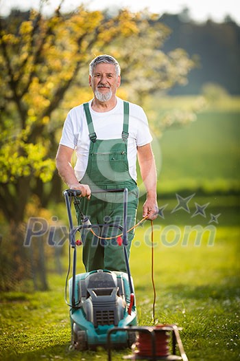Portrait of senior man gardening, taking care of his lovely orchard, ejoying actively his retirement Portrait of senior man gardening, taking care of his lovely orchard, ejoying actively his retirement