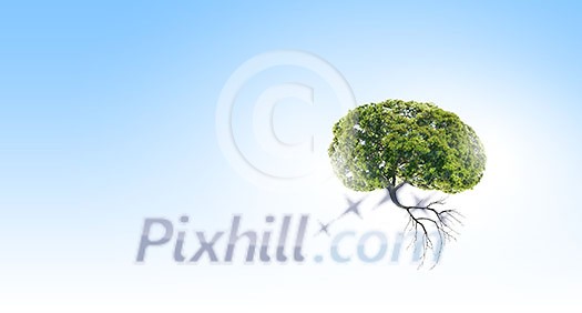Conceptual image of green tree shaped like brain Conceptual image of green tree shaped like brain