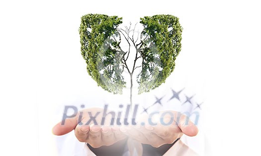 Conceptual image of green tree in hands shaped like human lungs Conceptual image of green tree in hands shaped like human lungs