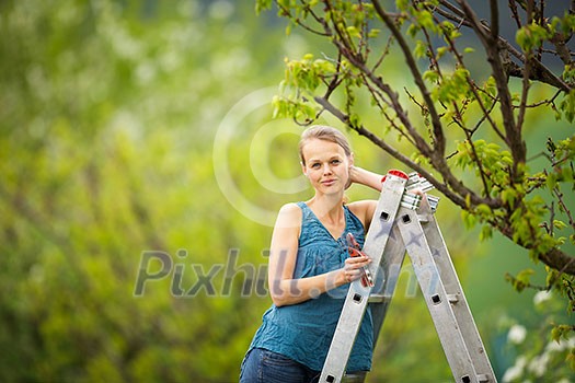 Pretty, young woman gardening in her orchard/garden (color toned image) Pretty, young woman gardening in her orchard/garden (color toned image)