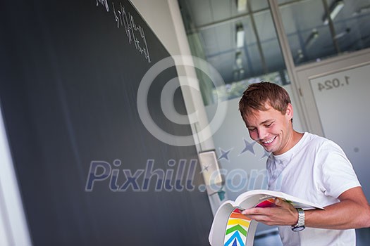 Handsome college student solving a math problem during math class in front of the blackboard/chalkboard (color toned image) Handsome college student solving a math problem during math class in front of the blackboard/chalkboard (color toned image)