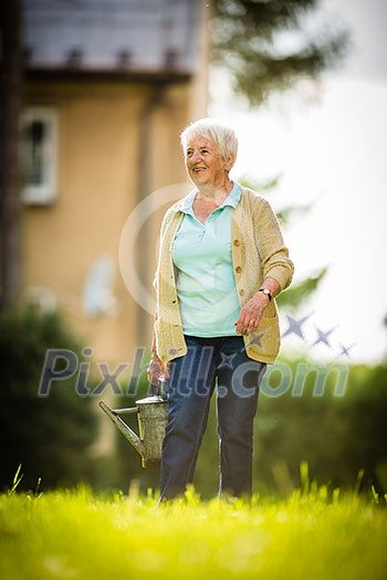 Senior woman doing some gardening in her lovely garden - watering the plants