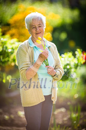 Senior woman doing some gardening in her lovely garden - watering the plants Senior woman doing some gardening in her lovely garden - watering the plants
