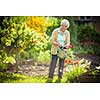 Senior woman doing some gardening in her lovely garden - watering the plants