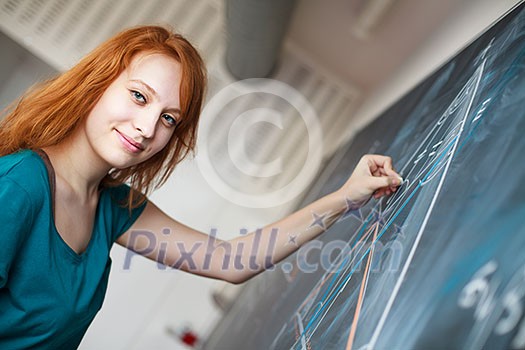 Portrait of a pretty young college student writing on the blackboard during a maths class (color toned image) Portrait of a pretty young college student writing on the blackboard during a maths class (color toned image)