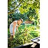 Pretty, young woman gardening in her garden, cutting branches, preparing the orchard for the winter