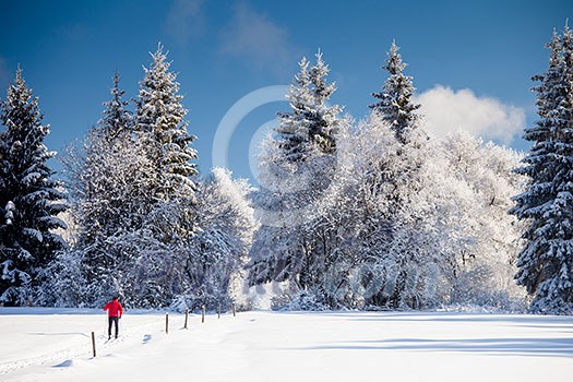 Cross-country skiing: young man cross-country skiing on a lovely sunny winter day Cross-country skiing: young man cross-country skiing on a lovely sunny winter day