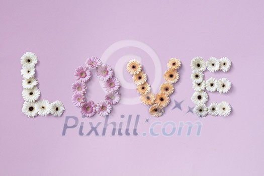 The word love made from different gerbera flowers on a pink background. As layout for post card on Valentine's Day or Mother's Day with . Flat lay. The word love made from different gerbera flowers on a pink background. As layout for post card on Valentine's Day or Mother's Day with . Flat lay.