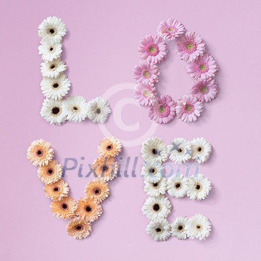 The word love is made of, white, pink and orange gerbera flowers on a pink background. As a greeting card for Valentine's Day or Mother's Day . Flat lay. The word love is made of, white, pink and orange gerbera flowers on a pink background. As a greeting card for Valentine's Day or Mother's Day . Flat lay.