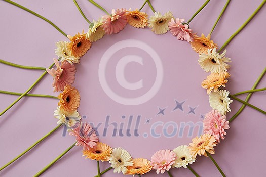 A creative round frame of multicolored gerberas with a place under the text for a postcard for spring holidays . Top view A creative round frame of multicolored gerberas with a place under the text for a postcard for spring holidays . Top view