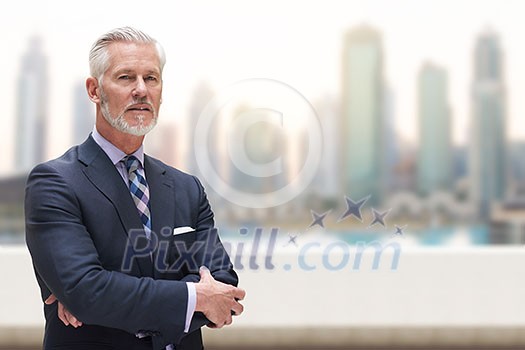 Portrait of senior businessman in front of the big city Portrait of senior businessman in front of the big city