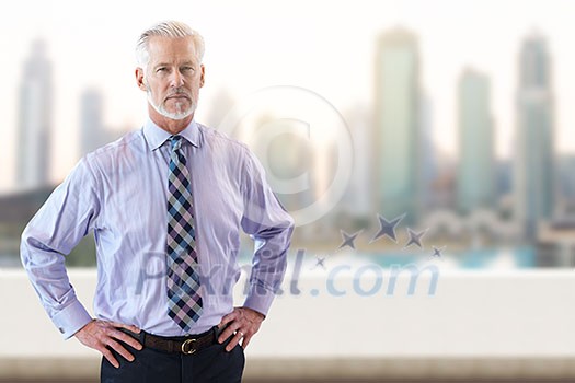 Portrait of senior businessman in front of the big city Portrait of senior businessman in front of the big city