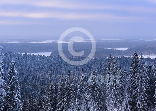Snowy forest seen from above Snowy forest seen from above