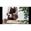 A woman florist makes a bouquet of beige roses cappuccino and blue eryngiums, wraps flowers in paper and tie a string on a wooden table. Flower Shop, Video footage 1080p full HD