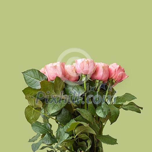 Fresh beautiful bouquet of pink roses on a green background. Flower composition as a greeting card Fresh beautiful bouquet of pink roses on a green background. Flower composition as a greeting card