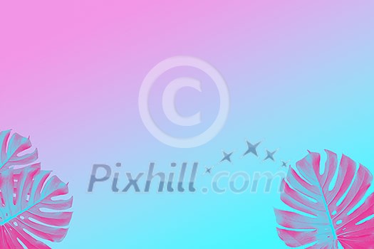 Frame of silhouettes of monster leaves isolated on ultra violet, pink and blue duotone background. Wedding invitation or card design trendy design with copy space Frame of silhouettes of monster leaves isolated on ultra violet, pink and blue duotone background. Wedding invitation or card design trendy design with copy space
