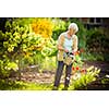 Senior woman doing some gardening in her lovely garden - watering the plants