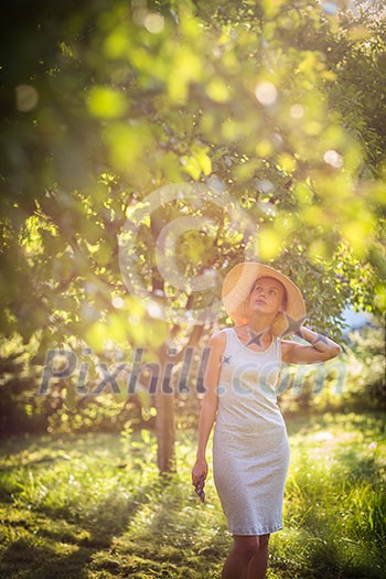 Pretty, young woman gardening in her garden, cutting branches, taking care of her lovely orchard Pretty, young woman gardening in her garden, cutting branches, taking care of her lovely orchard