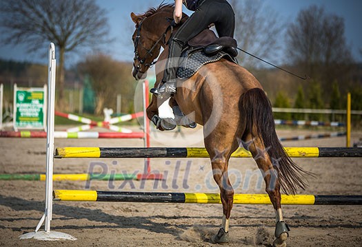 Young woman show jumping with horse Young woman show jumping with horse