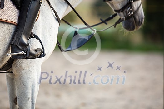 Horseback rider, woman riding a horse - close-up of the rider's boot with ample copy space Horseback rider, woman riding a horse - close-up of the rider's boot with ample copy space