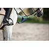 Horseback rider, woman riding a horse -  close-up of the rider's boot with ample copy space