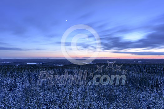 Snowy forest seen from above Snowy forest seen from above