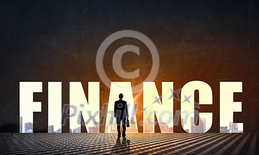 Back view of businessman standing in light of word finance Back view of businessman standing in light of word finance