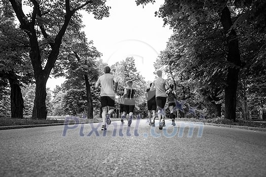 group of healthy people jogging in city park, runners team on morning training group of healthy people jogging in city park, runners team on morning training