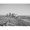 group of young friends spending day together running on the beach during autumn day