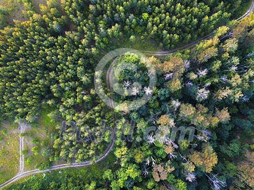 A winding road through the forest. Top view from the drones from a bird's eye view. A winding road through the forest. Top view from the drones from a bird's eye view.