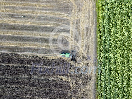 Aerial view on a field with ripened and unripened sunflowers. Harvesting a tractor on an agricultural field Aerial view on a field with ripened and unripened sunflowers. Harvesting a tractor on an agricultural field