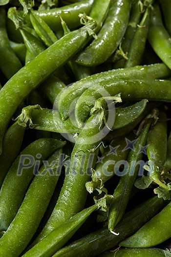 Natural organic close-up green peas background. Concept of vegetarian clean healthy eating.