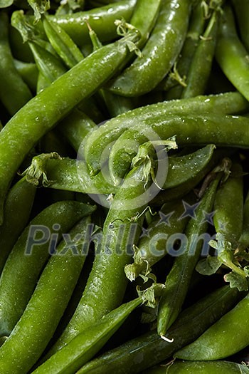 Natural organic close-up green peas background. Concept of vegetarian clean healthy eating. Natural organic close-up green peas background. Concept of vegetarian clean healthy eating.