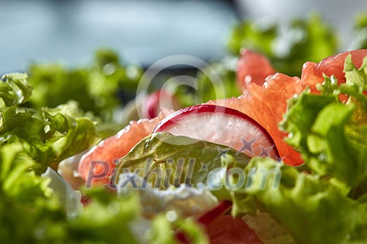 Close-up of frefh natural ingredients of vegetarian salad round slices of radish, pieces of grapefruit, green lettuce, cheese. Dietary organic eating.