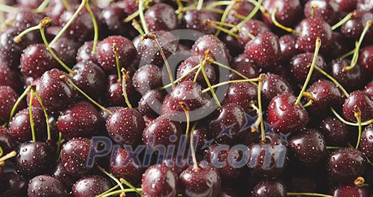 Tracking slow motion video of a wet ripe red cherries fruits. Close-up cherries background with drops of water on berries. Soft focus. Shallow depth of field. 4K video. Tracking slow motion video of a wet ripe red cherries fruits. Close-up cherries background with drops of water on berries. Soft focus. Shallow depth of field. 4K video.